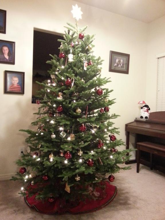 iggy's Christmas Tree 2014
